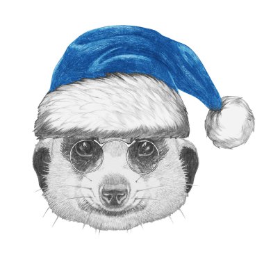 Noel Baba şapkası ile Mirket Portresi.