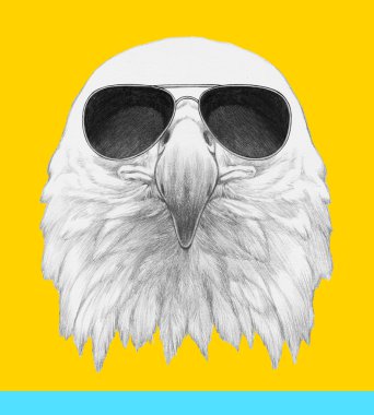Eagle portresi ile güneş gözlüğü. 