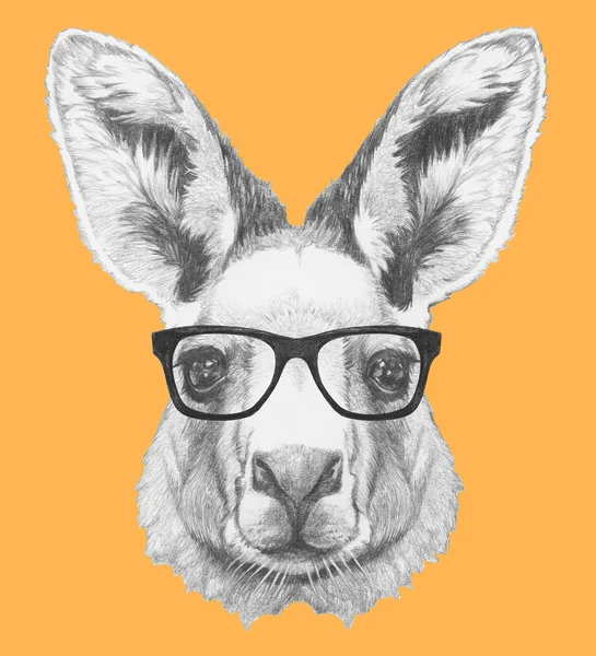 Retrato de canguro con gafas — Foto de Stock