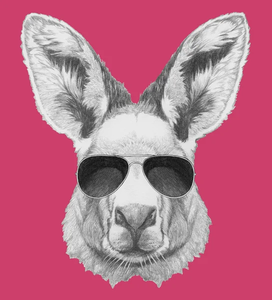 Potret Kanguru dengan kacamata hitam — Stok Foto