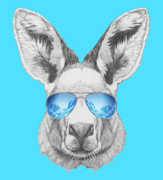 Retrato de canguru com óculos de sol espelhados — Fotografia de Stock