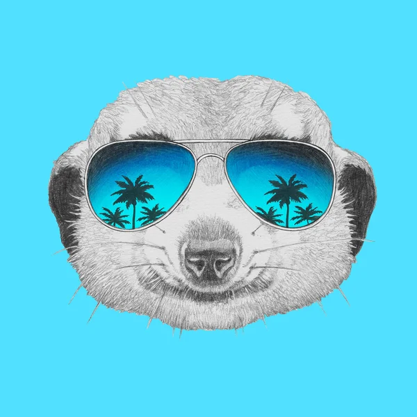 Retrato de Meerkat con gafas de sol espejo . — Foto de Stock