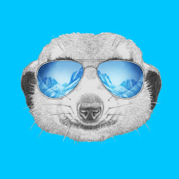 Portrait de Meerkat avec des lunettes de soleil miroir — Photo