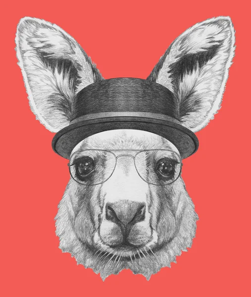Canguru com chapéu e óculos — Fotografia de Stock
