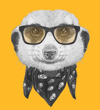 Firavun faresi portresi ile gözlük ve eşarp.