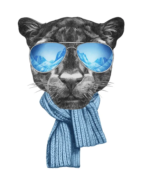 Пантера з дзеркальними сонцезахисними окулярами і шарфом . — стокове фото