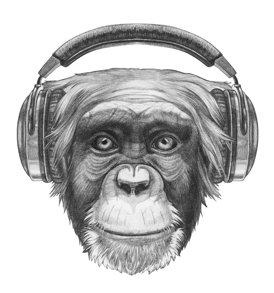 Портрет мавпи з навушниками — стокове фото