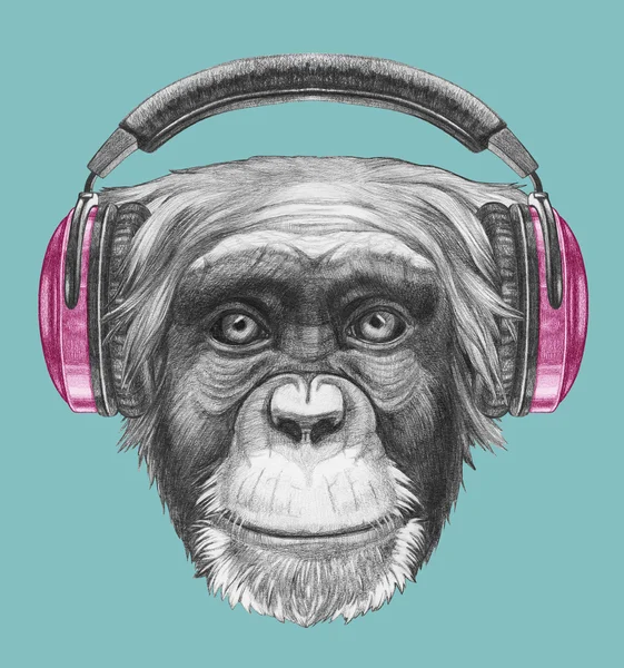 Retrato de macaco com fones de ouvido . — Fotografia de Stock