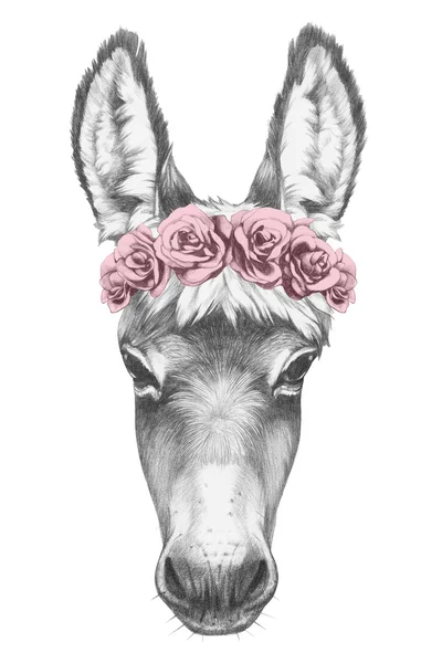 Retrato de burro con corona floral —  Fotos de Stock