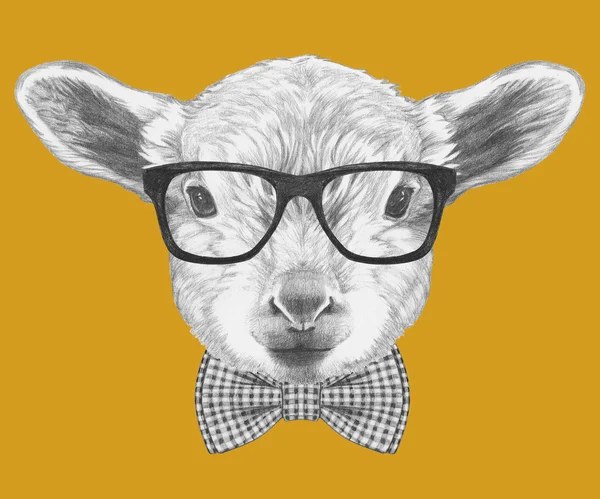 Portrait of Lamb with glasses and bow tie — Stock Photo, Image
