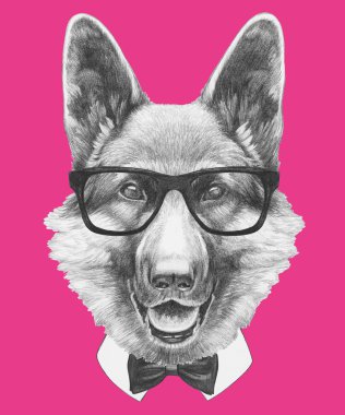 Alman çoban portresi gözlüklü. 