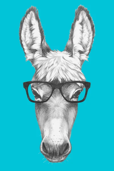 戴着眼镜的驴肖像 — 图库照片