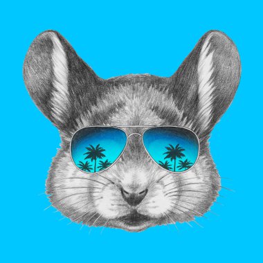 Fare portresi ayna güneş gözlüğü ile