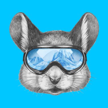 Fare portresi ile Kayak koruyucu gözlük