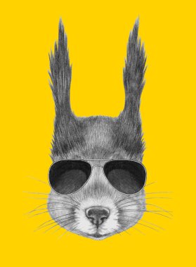 Sincap portresi ile güneş gözlüğü.