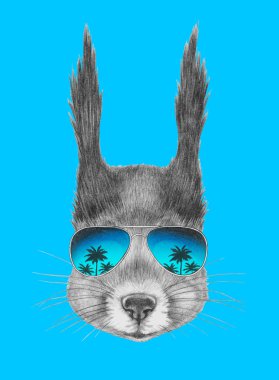 Sincap portresi ayna güneş gözlüğü ile