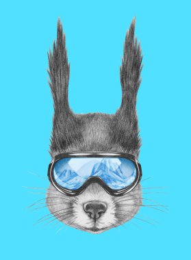 Sincap portresi ile Kayak koruyucu gözlük