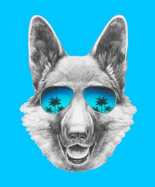 Ayna güneş gözlüğü ile Alman çoban