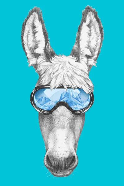 Porträtt av åsna med ski skyddsglasögon. — Stockfoto