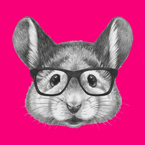 Портрет мыши в очках — стоковое фото