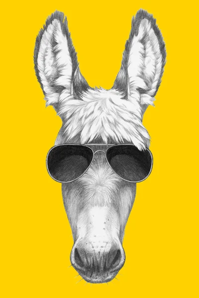 Portret van Donkey met zonnebril. — Stockfoto