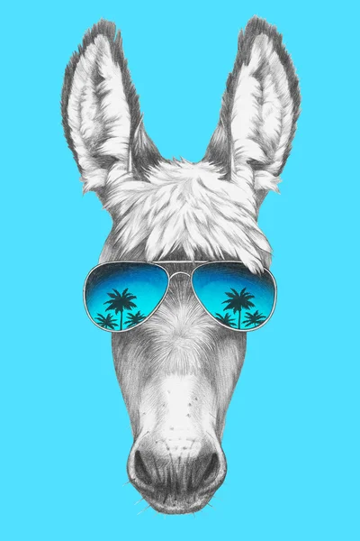 Retrato de burro con gafas . — Foto de Stock