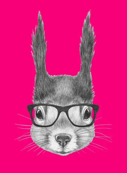 안경와 다람쥐의 초상화 — 스톡 사진