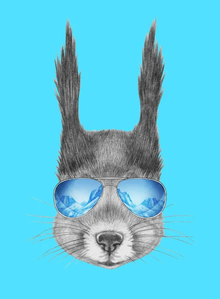 Ayna güneş gözlüğü ile sincap.