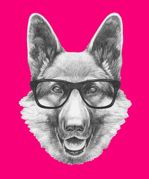 Портрет Німецька вівчарка в окулярах — стокове фото