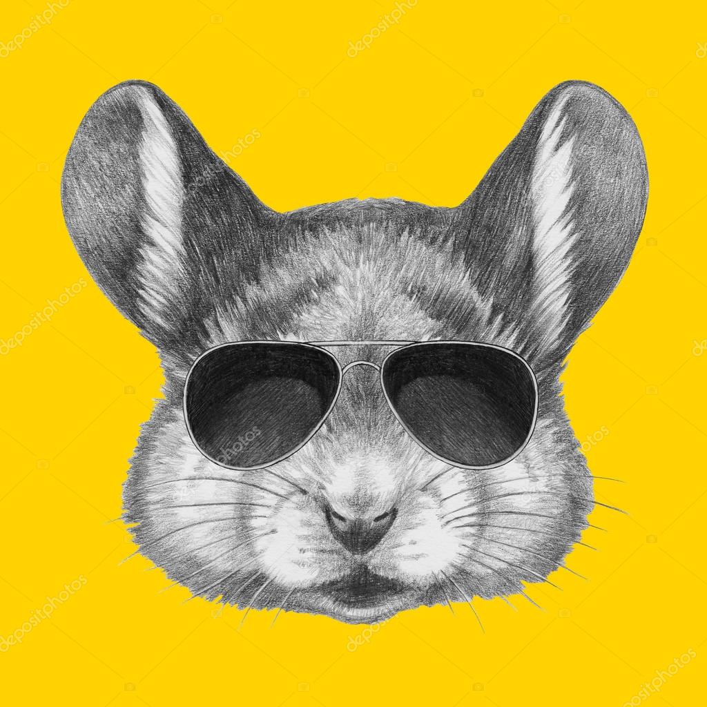 mouse with sunglasses