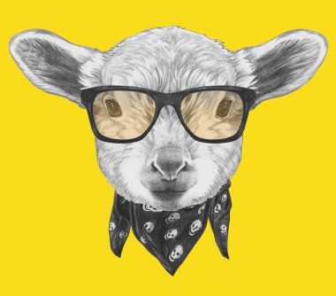 Kuzu dikey, gözlük ve eşarp. 