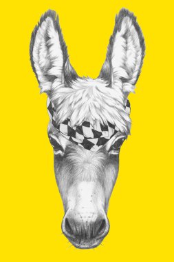 Eşek portresi eşarp ile. 