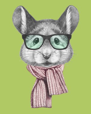 Fare dikey, eşarp ve gözlük