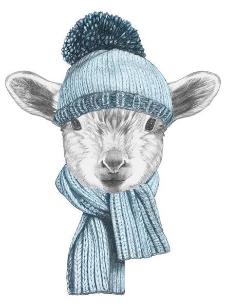 Porträtt av lamm med mössa och halsduk. — Stockfoto