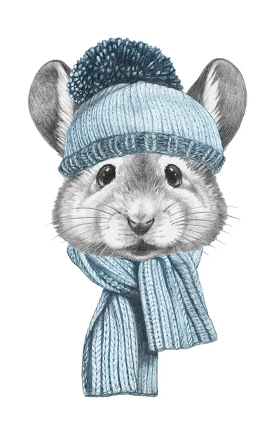 Портрет Мыши в шляпе и шарфе . — стоковое фото
