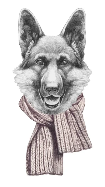 Alman çoban köpeği portresi.