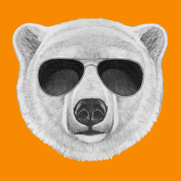 Portrait de l'ours polaire avec des lunettes de soleil — Photo