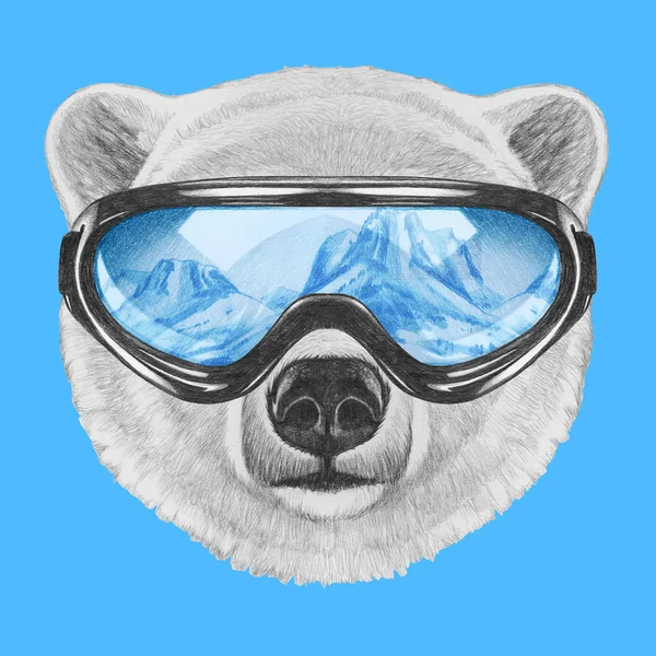 Retrato de oso polar con gafas de esquí . — Foto de Stock