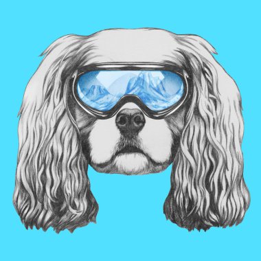 Düşüncesiz kral şarlatan İspanyol ile Kayak koruyucu gözlük.