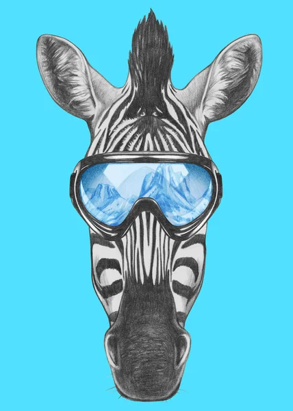 Retrato de Zebra com óculos de esqui — Fotografia de Stock