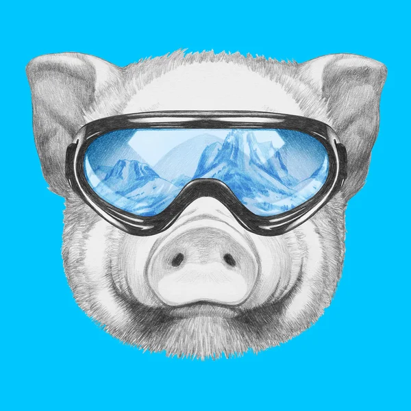 Porträtt av Piggy med ski skyddsglasögon. — Stockfoto