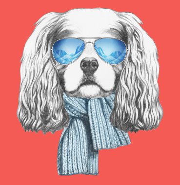 Düşüncesiz kral şarlatan İspanyol eşarp ve güneş gözlüğü.