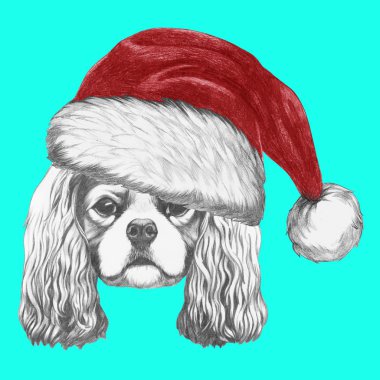 Cavalier King Charles Spaniel Santa şapka ile