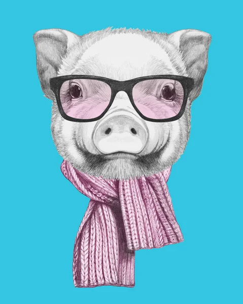Portret Piggy z okulary i szalik. — Zdjęcie stockowe