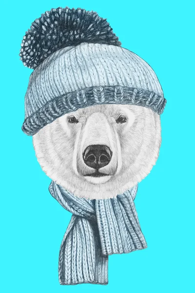 Portrait of Polar Bear with hat and scarf — Stock Photo, Image