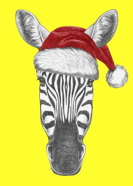 Zebra z Santa kapelusz i okulary przeciwsłoneczne — Zdjęcie stockowe