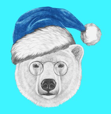 Kutup ayısı Santa şapka ve güneş gözlüğü