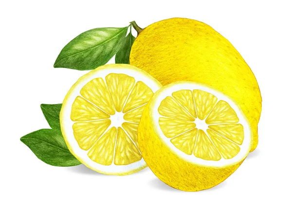 Hand dras illustration av citroner — Stockfoto