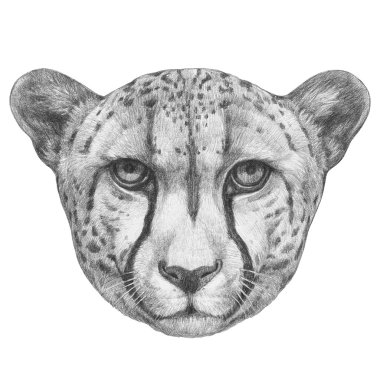 Cheetah çizilmiş