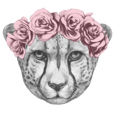 Cheetah çizilmiş